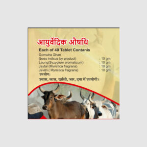 Vedic Gautirthavati